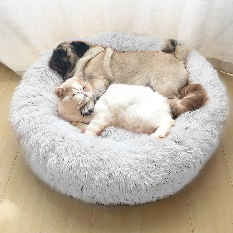 Comfy Calming Veterinarian Approved Dog and Cat Bed