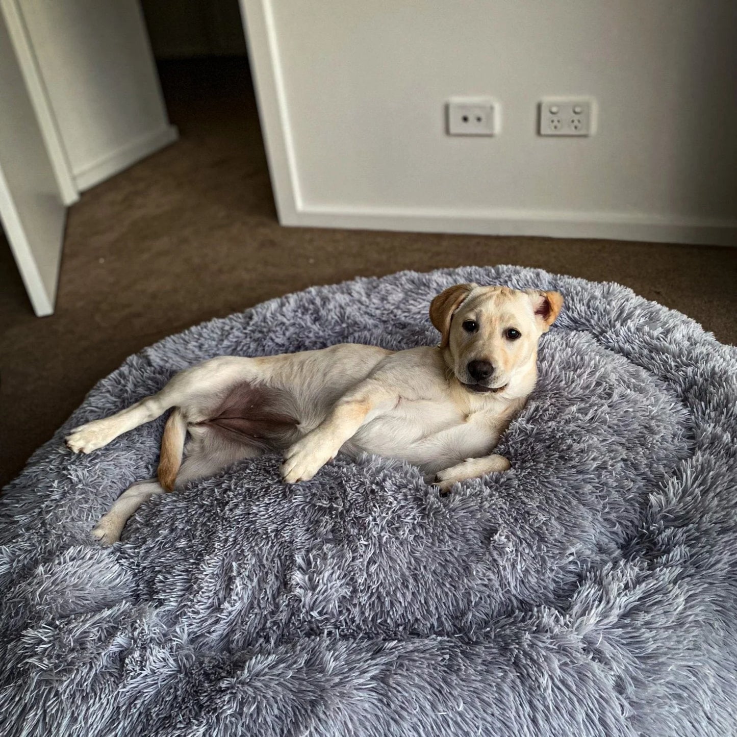 Comfy Calming Veterinarian Approved Dog and Cat Bed