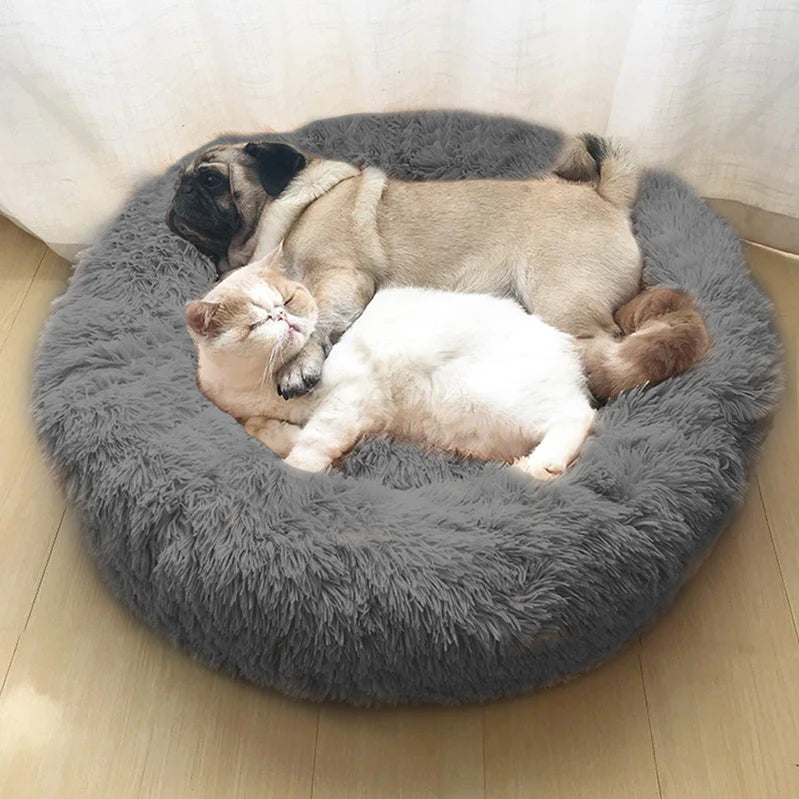 Comfy Calming Veterinarian Approved Dog and Cat Bed