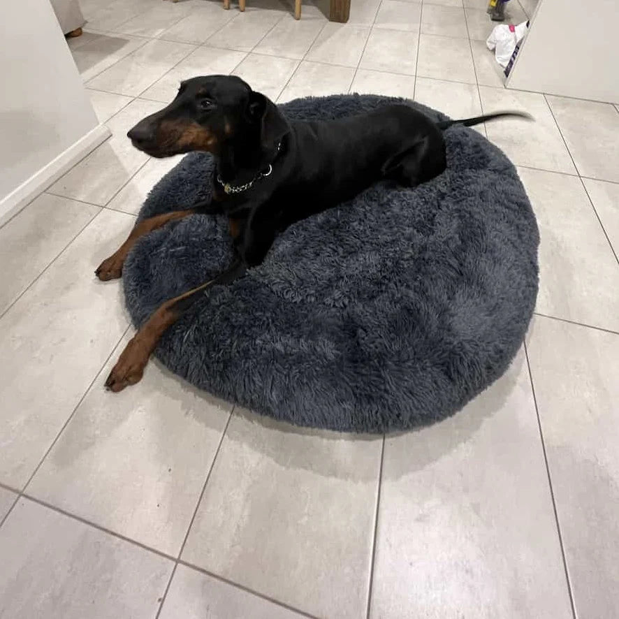 Comfy Calming Veterinarian Approved Dog and Cat Bed