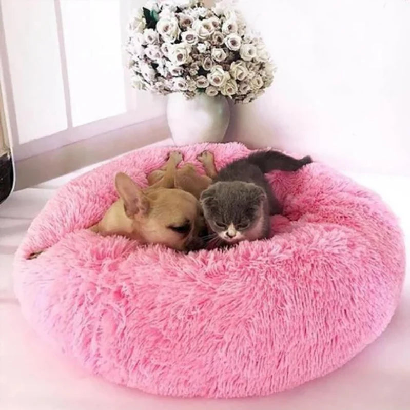 Comfy Calming Veterinarian Approved Dog and Cat Bed